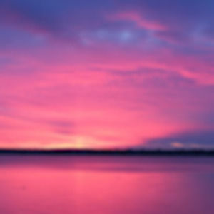 Meet your Posher, Maya